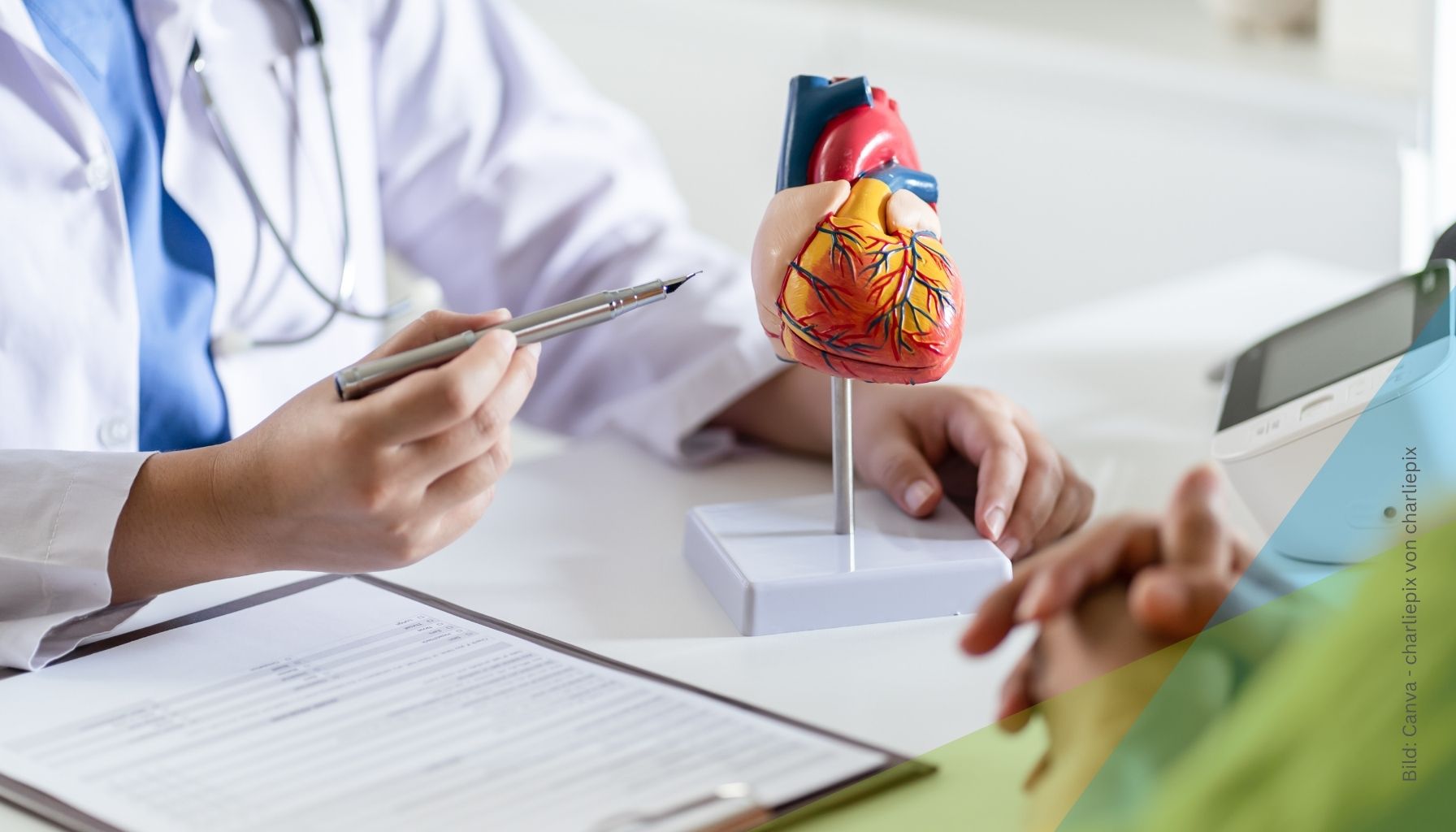 Kardiologe beim Patientengespräch mit Herzmodell zum Thema MitraClip: Schonende Behandlung einer undichten Mitralklappe